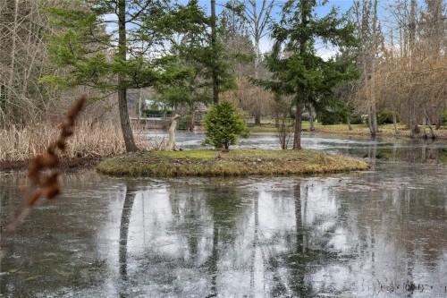 137-3042 River Rd, Chemainus, BC 