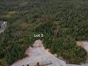 Lot 3-0 Beaver Pond Road, Cape Broyle, NL 