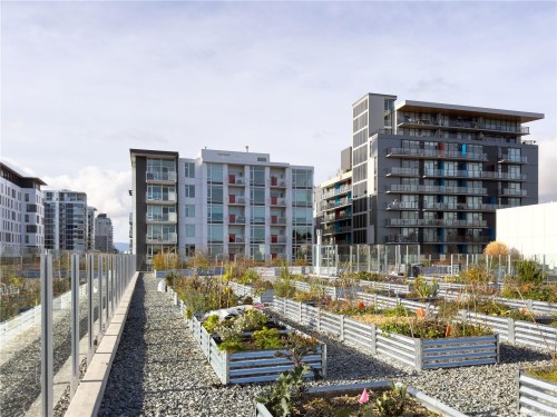 N312-1105 Pandora Ave, Victoria, BC - Outdoor With Balcony With Facade