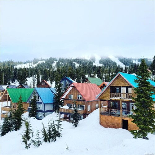 739 Beaver Creek Blvd, Campbell River, BC 