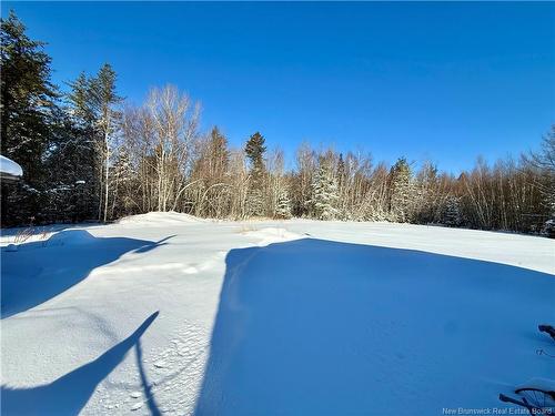 1398 Saint-Sosime Rd, Adamsville, NB 