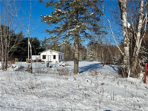 1398 Saint-Sosime Rd, Adamsville, NB 