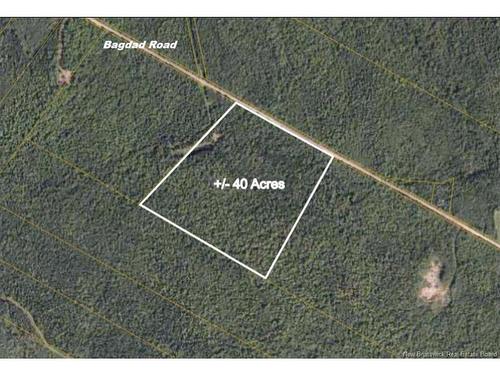 - Bagdad Rd, Youngs Cove, NB 