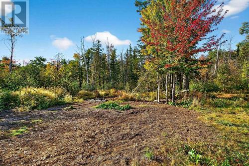 556 Champlain Road, Tiny, ON - Outdoor