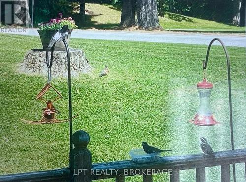 1023 Moon Road, Frontenac (Frontenac Centre), ON 