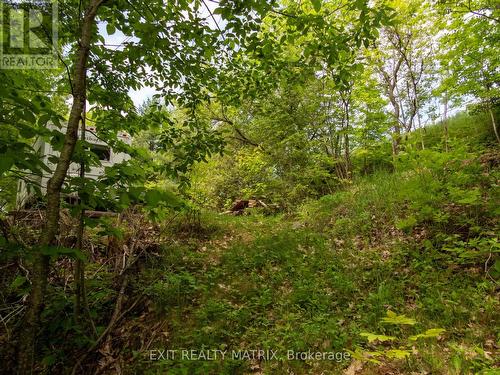 12654 Lanark Road, Greater Madawaska, ON 