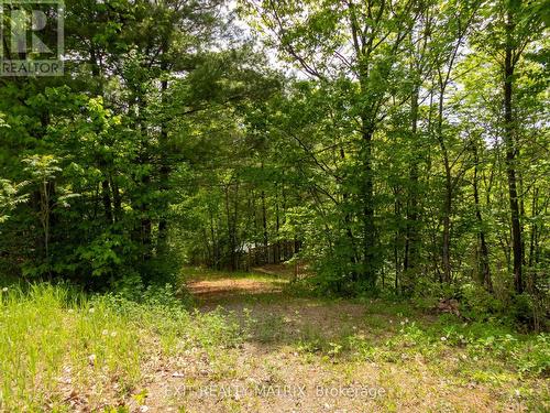 12654 Lanark Road, Greater Madawaska, ON 