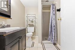 Lower level bathroom - 