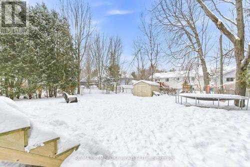 Backyard - 41 Selkirk Street, Petawawa, ON - Outdoor