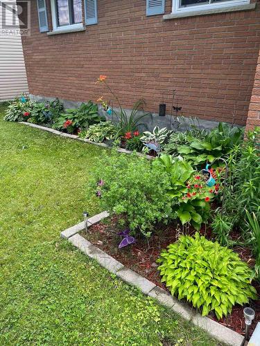 Beautiful gardens - 41 Selkirk Street, Petawawa, ON - Outdoor