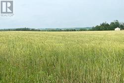 0 Freetown Rd RTE 8  Freetown, PE C0B 1L0