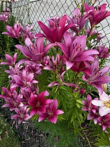 3217 6Th Avenue N, Regina, SK - 