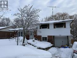 509 ARNHEM DRIVE  Oshawa, ON L1G 2J2