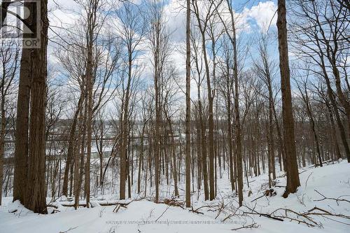 420 Riverside Drive, London North (North N), ON - Outdoor With View