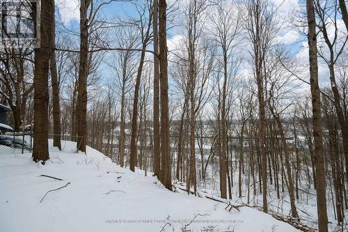 420 Riverside Drive, London North (North N), ON - Outdoor With View