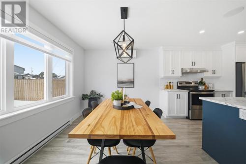 113 Diamond Marsh Drive, St. John'S, NL - Indoor