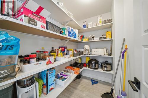 113 Diamond Marsh Drive, St. John'S, NL - Indoor With Storage