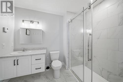 113 Diamond Marsh Drive, St. John'S, NL - Indoor Photo Showing Bathroom
