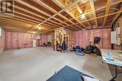 113 Diamond Marsh Drive, St. John'S, NL - Indoor Photo Showing Basement