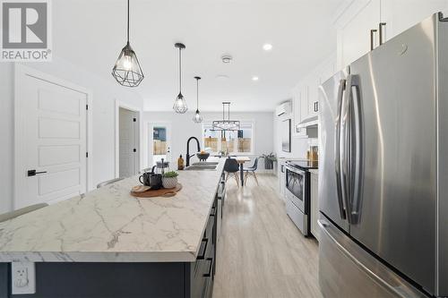 113 Diamond Marsh Drive, St. John'S, NL - Indoor Photo Showing Kitchen With Upgraded Kitchen