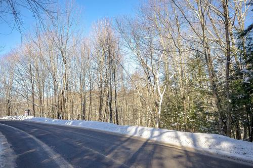 Street - Ch. Poissant, Sutton, QC 