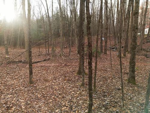Terre/Terrain - Ch. Poissant, Sutton, QC 