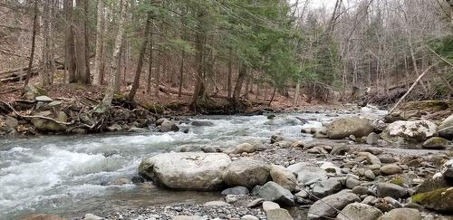 Vue sur l'eau - Ch. Poissant, Sutton, QC 