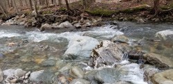 Vue sur l'eau - 
