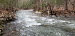 Vue sur l'eau - 