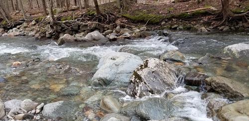 Vue sur l'eau - Ch. Poissant, Sutton, QC 