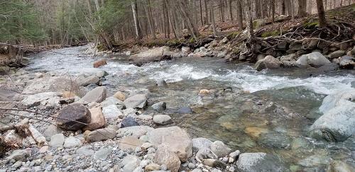 Vue sur l'eau - Ch. Poissant, Sutton, QC 