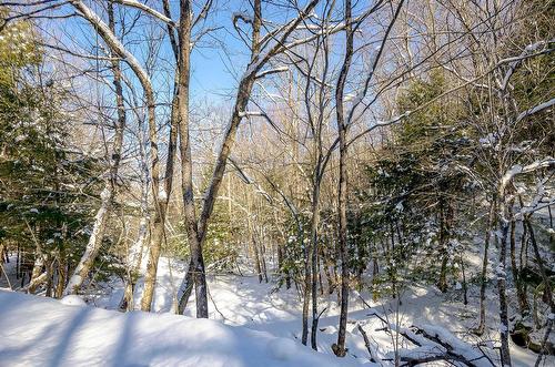 Land/Lot - Ch. Poissant, Sutton, QC 