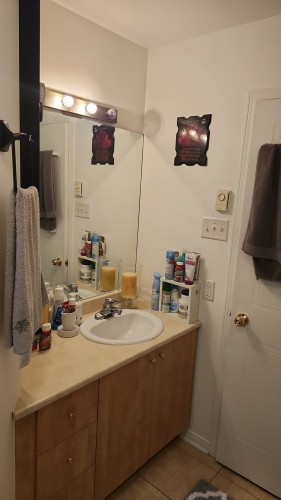 Salle de bains - 1718 Rue Notre-Dame-De-Fatima, Laval (Pont-Viau), QC - Indoor Photo Showing Bathroom