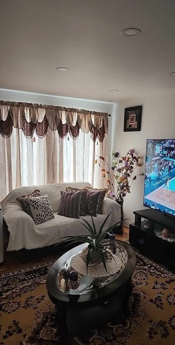 Salon - 1718 Rue Notre-Dame-De-Fatima, Laval (Pont-Viau), QC - Indoor Photo Showing Living Room