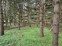 Lot 3 Salmon River Road, Murray Siding, NS 