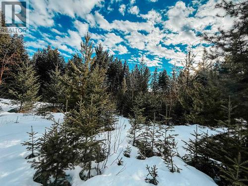 5724 Timothy Lake Road, Lac La Hache, BC 