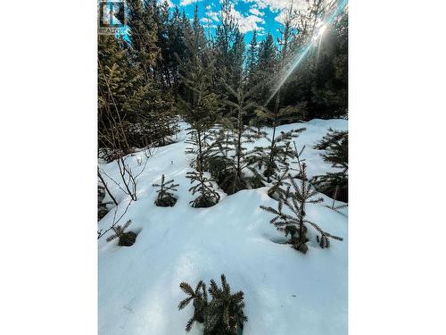 5724 Timothy Lake Road, Lac La Hache, BC 