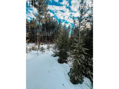 5724 Timothy Lake Road, Lac La Hache, BC 