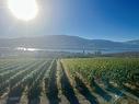 18A-1200 Rancher Creek Road, Osoyoos, BC  - Outdoor With Body Of Water With View 