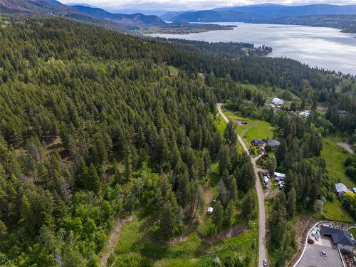2481 Squilax Anglemont Road, Lee Creek, BC - Outdoor With View