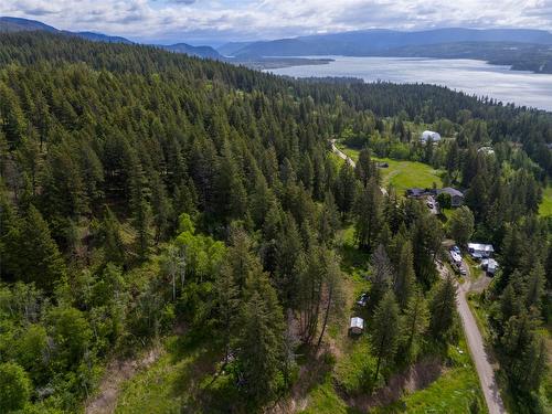 2481 Squilax Anglemont Road, Lee Creek, BC - Outdoor With View
