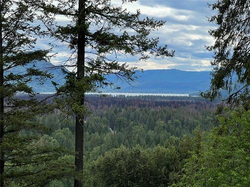 2481 Squilax Anglemont Road, Lee Creek, BC - Outdoor With View