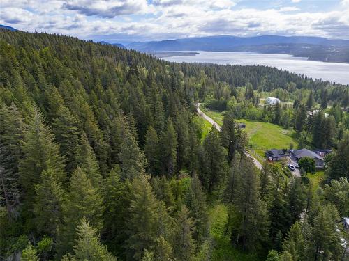 2481 Squilax Anglemont Road, Lee Creek, BC - Outdoor With View