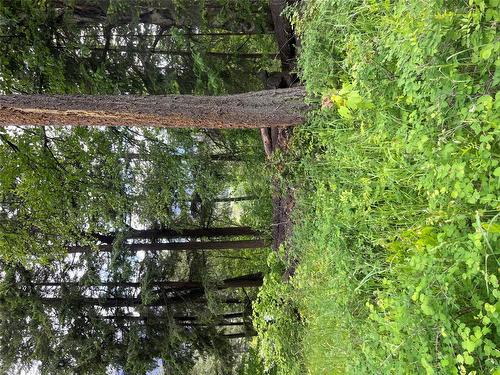 2481 Squilax Anglemont Road, Lee Creek, BC - Outdoor