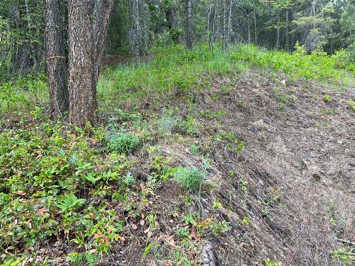 2481 Squilax Anglemont Road, Lee Creek, BC - Outdoor