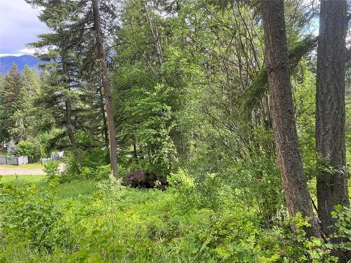 2481 Squilax Anglemont Road, Lee Creek, BC - Outdoor