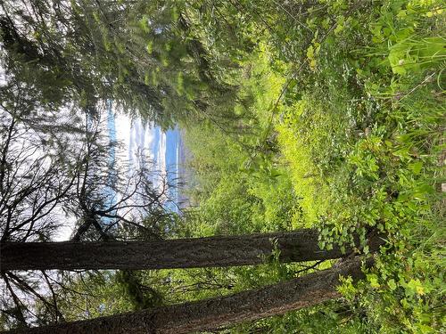 2481 Squilax Anglemont Road, Lee Creek, BC - Outdoor