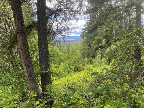 2481 Squilax Anglemont Road, Lee Creek, BC - Outdoor With View