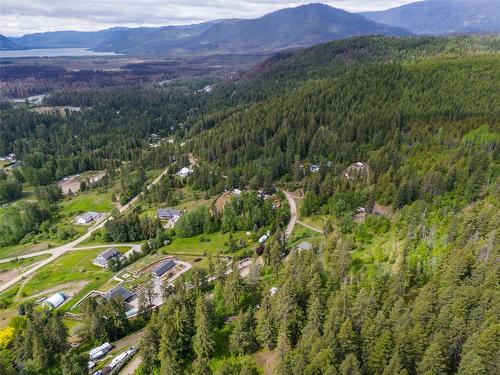 2481 Squilax Anglemont Road, Lee Creek, BC - Outdoor With View