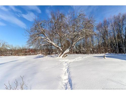 13537 Route 10, Berwick, NB 